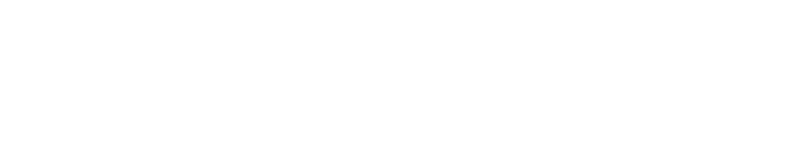 카이스트